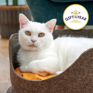 White cat lying in a grey felt pet bed with a 'Gift of the Year Highly Commended' badge.
