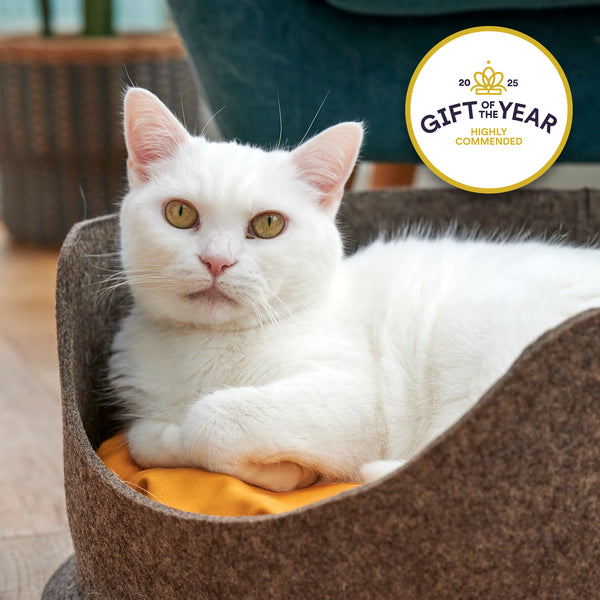 White cat lying in a grey felt pet bed with a 'Gift of the Year Highly Commended' badge.