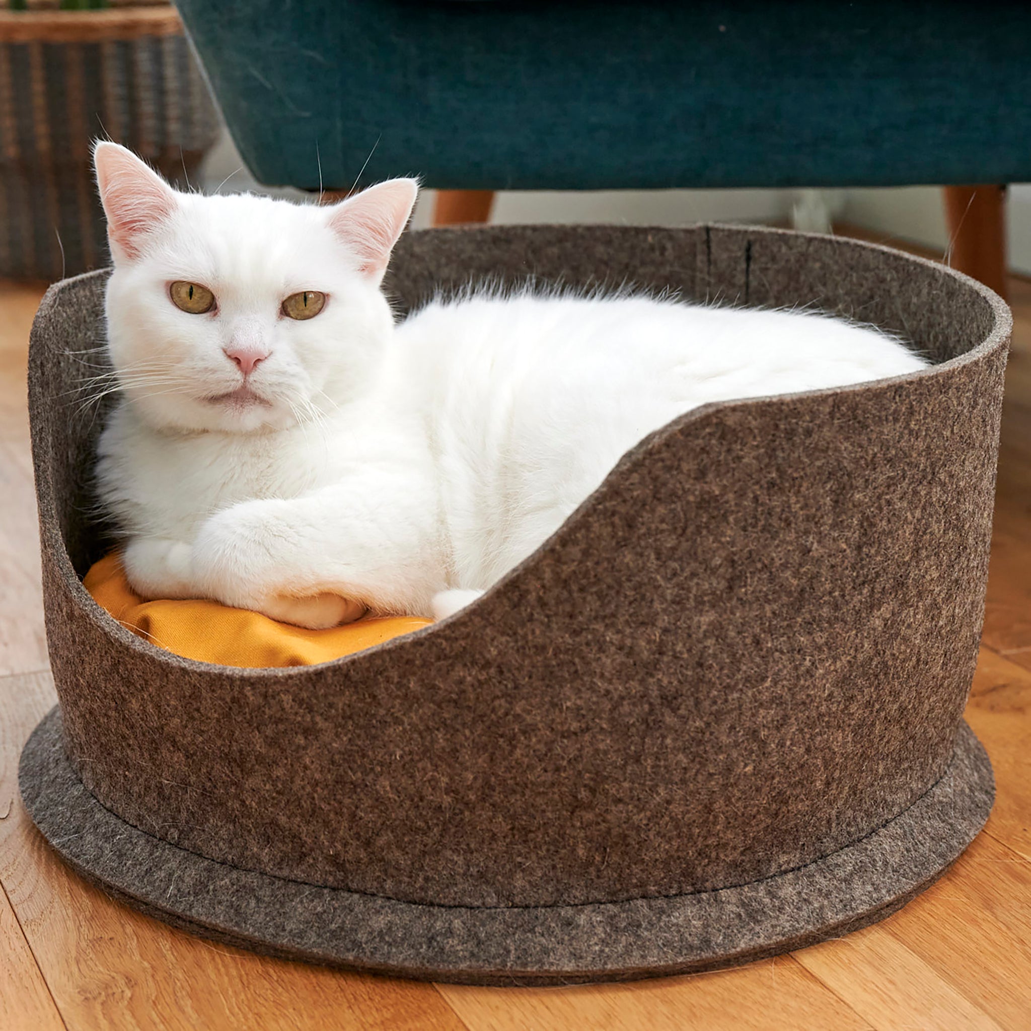A white cat with yellow eyes, sitting inside a Chimney Sheep PteSnug wool felt cat bed. The bed is sitting on a wooden floor. There is a yellow wool filled cushion inside the bed.