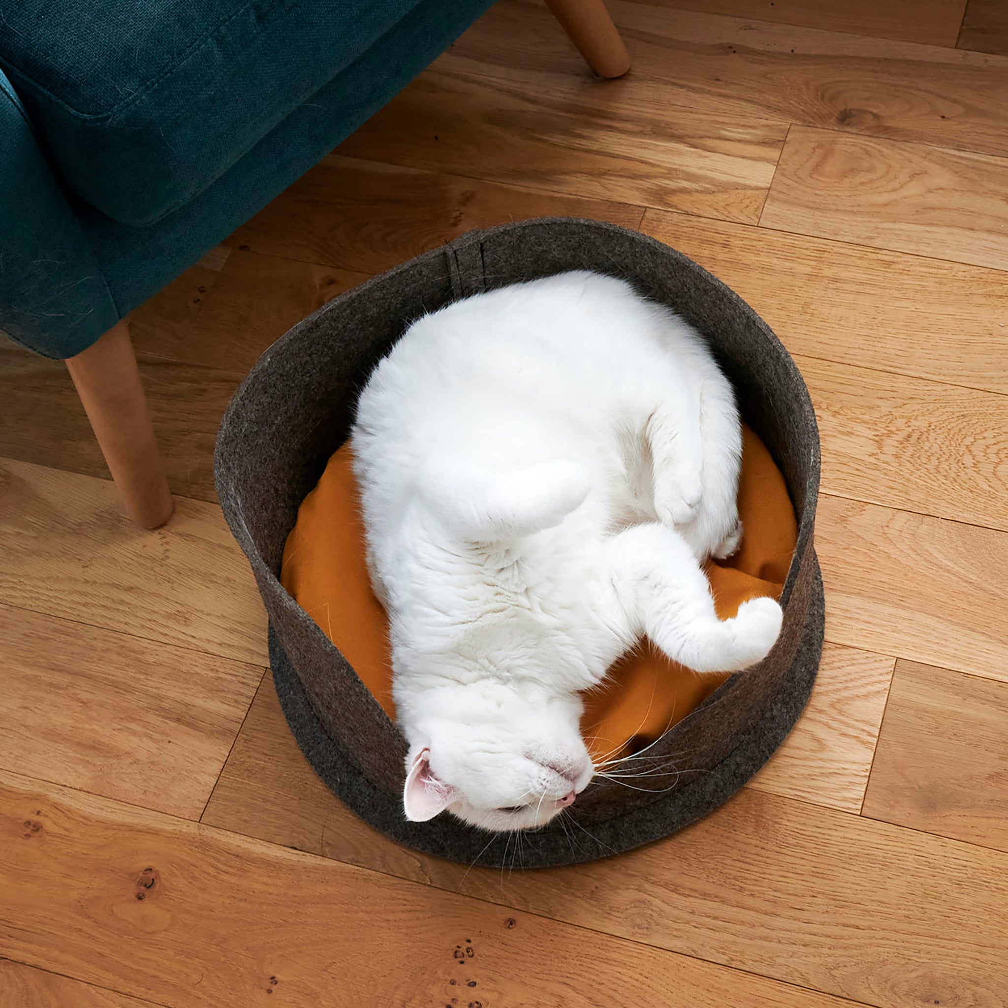 A white cat lays upside down inside a Chimney Sheep PetSnug felted wool cat bed. The cat sits upon a yellow wool cushion. The cat bed is placed on a wooden floor