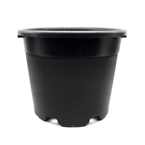 Large 20 Litre black plant pot on a white background.