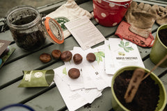 Eco-friendly plant a tree kit.  thumbnail