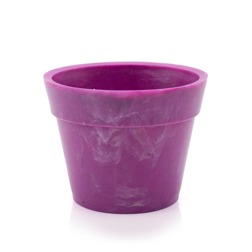 one blue eye cornwall multi-coloured plastic pots