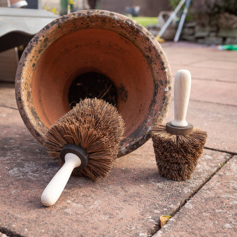 Two nutscene wooden pot brushes next to a plant pot