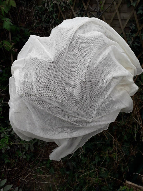 Organic vegetable protection net covering plants.