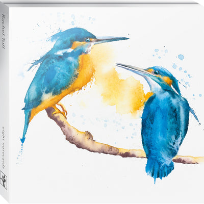 Eco-friendly blank greetings cards with 4 designs 