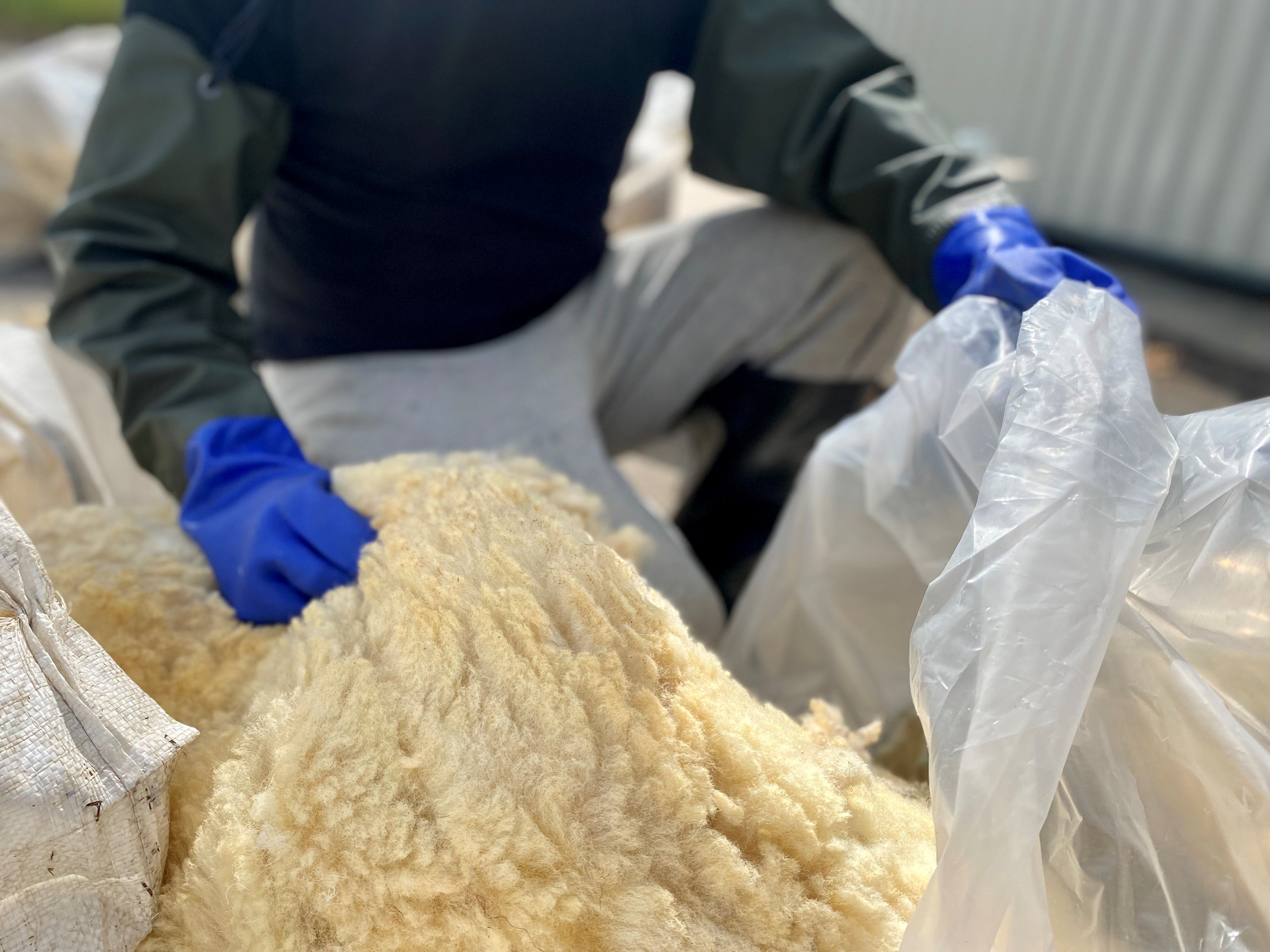 Raw Sheep Wool 10kg