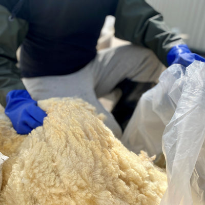 Raw Sheep Wool 10kg