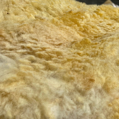 Raw Sheep Wool 10kg