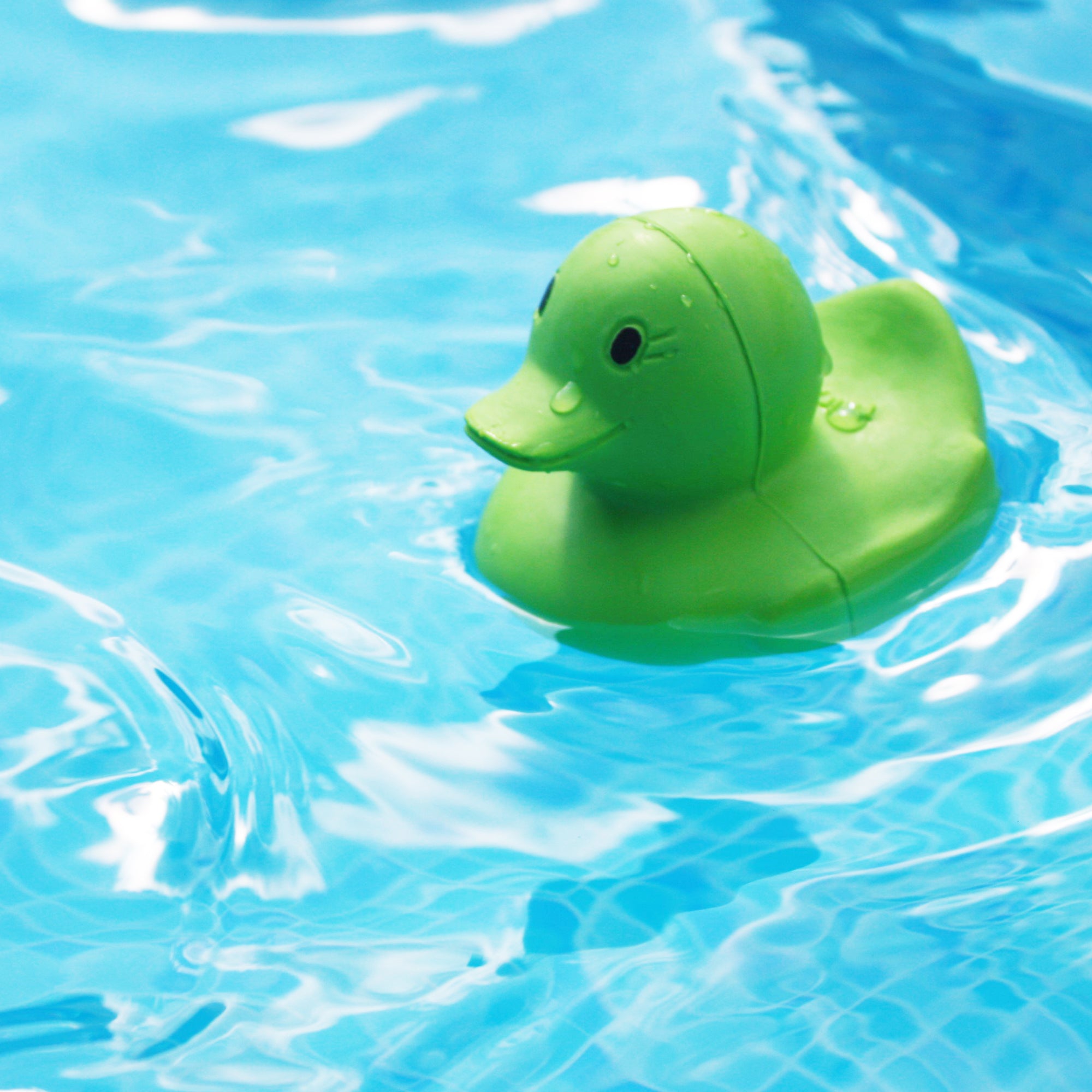 Natural rubber duck floating on water.