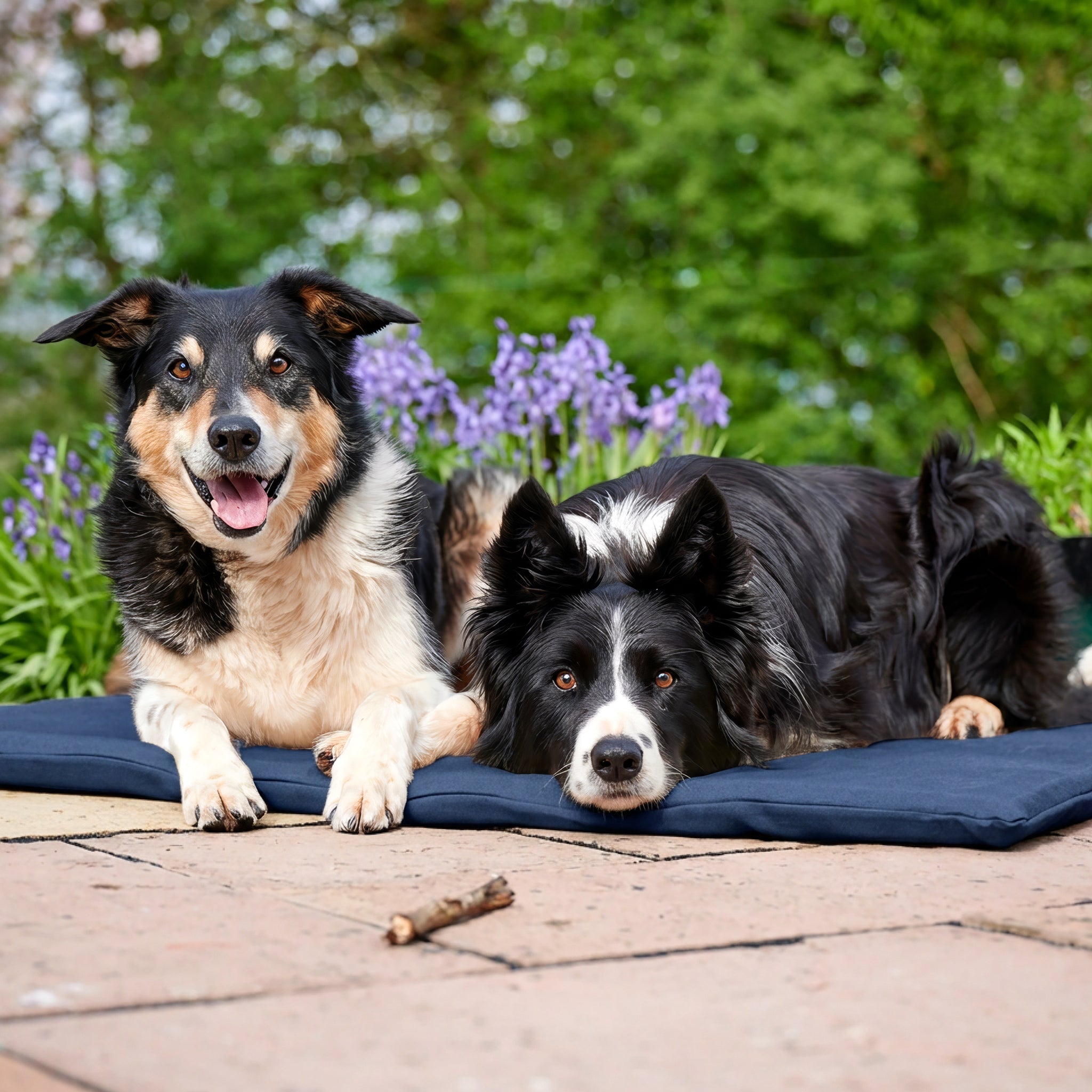 Two dogs lying on a dark blue outdoor dog mat on a stone patio, with green foliage and purple flowers in the background.