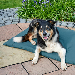 A black, tan, and white dog lies on a dark teal outdoor cushion on a stone patio with green plants and flowers in the background. thumbnail