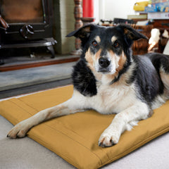 A black, white, and tan dog lies on a mustard yellow rectangular dog mat on a carpeted floor in a cosy living room setting. thumbnail
