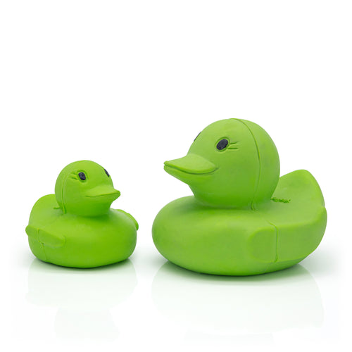 Natural latex rubber yellowish coloured duck with a pensive smile on a white background