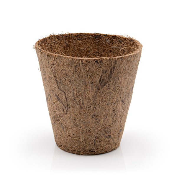 Single coir pot with natural rubber coating on a white background.