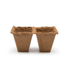 Two brown biodegradable seedling pots on a white background