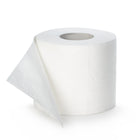 UK recycled toilet paper standing up on a white background 