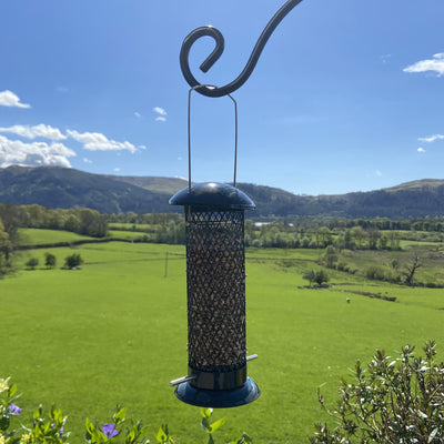 Seed Feeder full of seeds