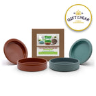Terracotta microgreen growing kit with featuring both the terracotta coloured and turquoise coloured versions with a branded box on a white background, featuring a 'Gift of the Year' award badge.