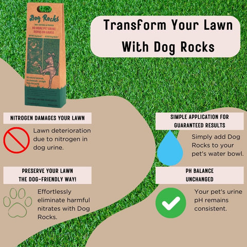 600g Big Bag of Dog Rocks to stop burn patches on your lawn.