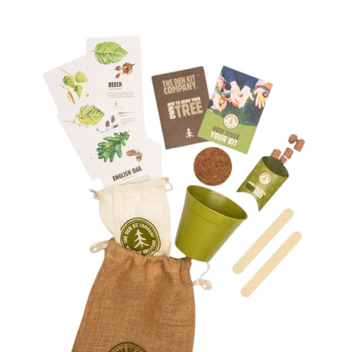 Eco-friendly contents of the Grow Your Own British Tree Kit.