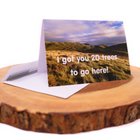 Chimmey Sheep Buy Land Plant Trees Voucher card to plant 20 trees.