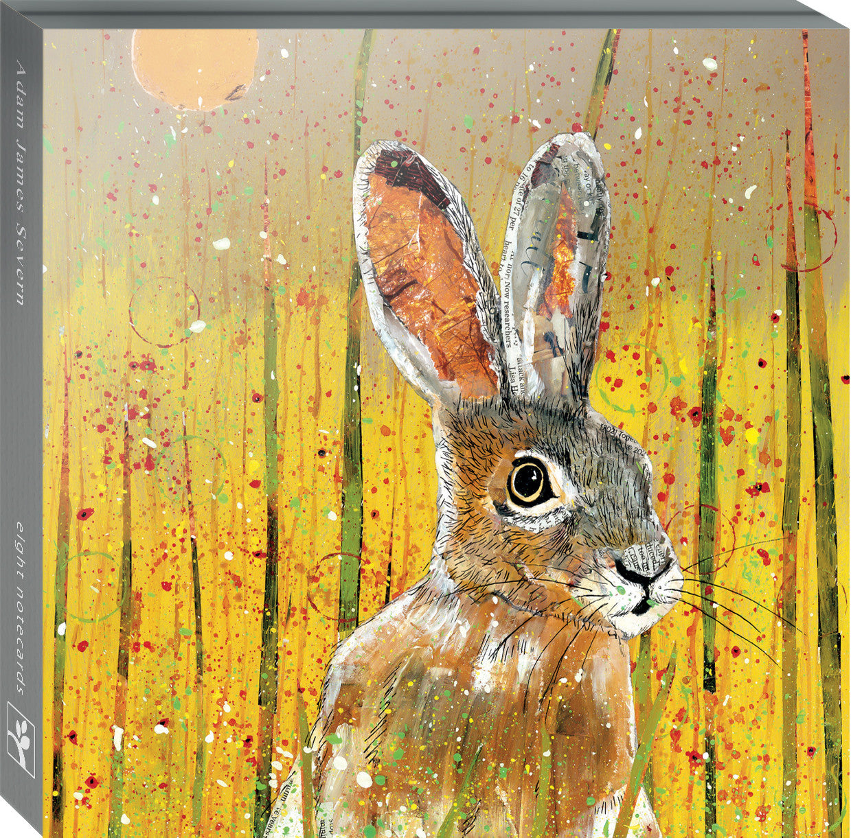 Blank multipack of greeting cards with artwork by Adam James Severn