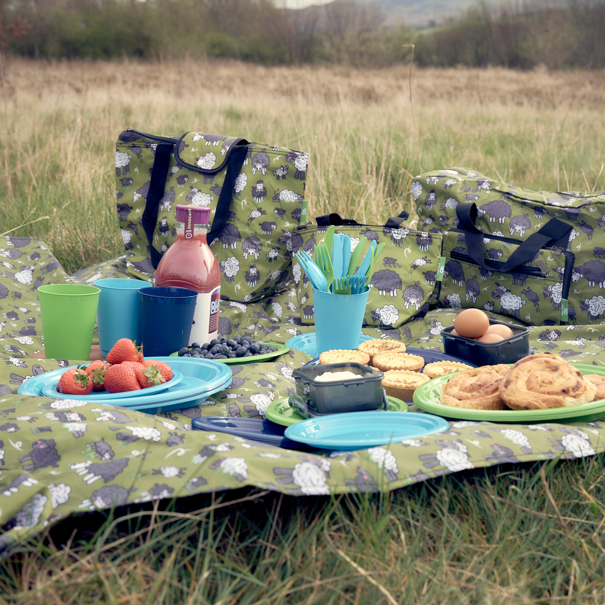 eco chic picnic mat and bags