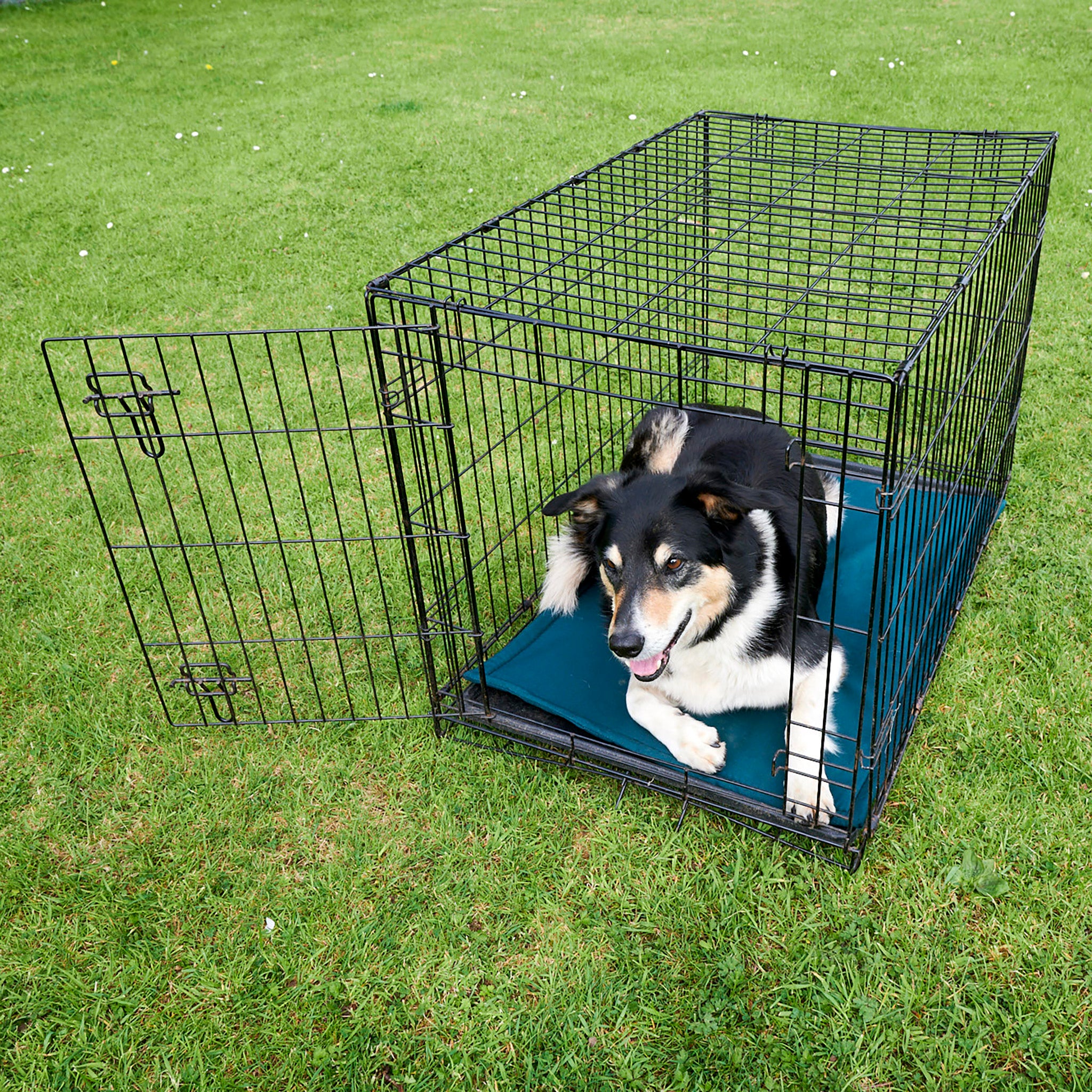 Black, metal dog crate, with a green eco-friendly handmade, wool filled crate liner inside. The crate is placed on some green grass with the door open. Inside the crate is a tricolour collie, facing at an angle. The collie is black ontop, with a tan face and little white eyebrows and socks.