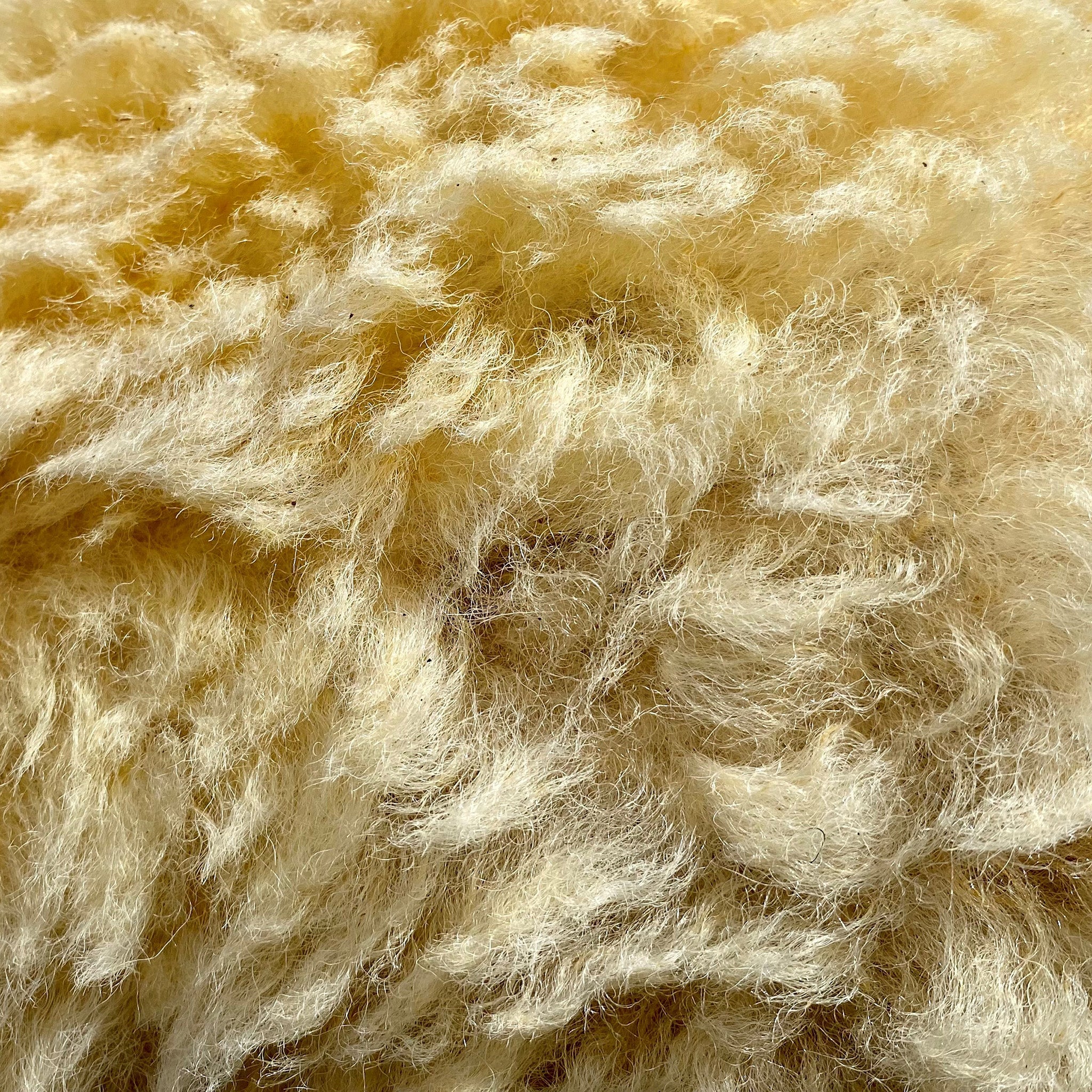 raw sheep wool