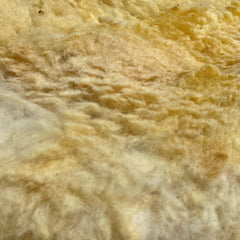 raw sheep wool thumbnail