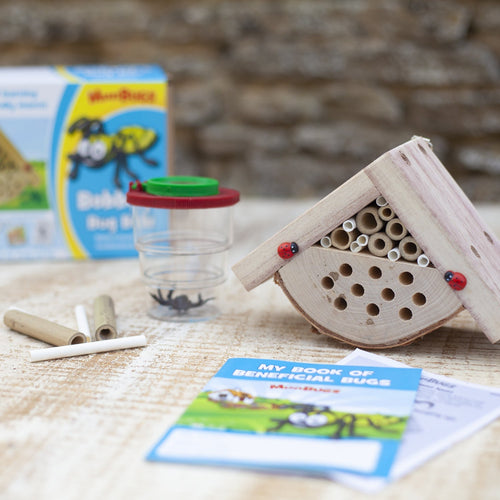 bug box educational toy