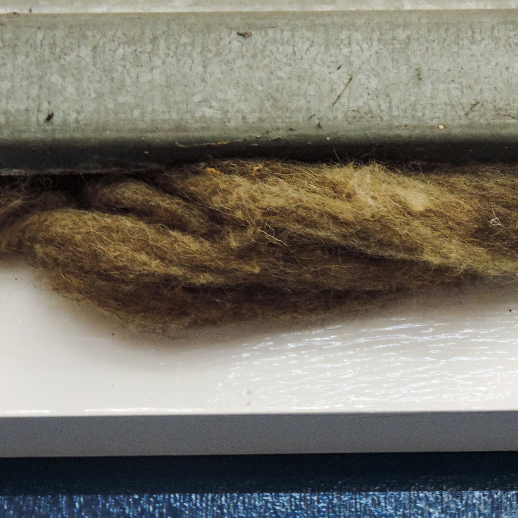 wool gap filler home insulation