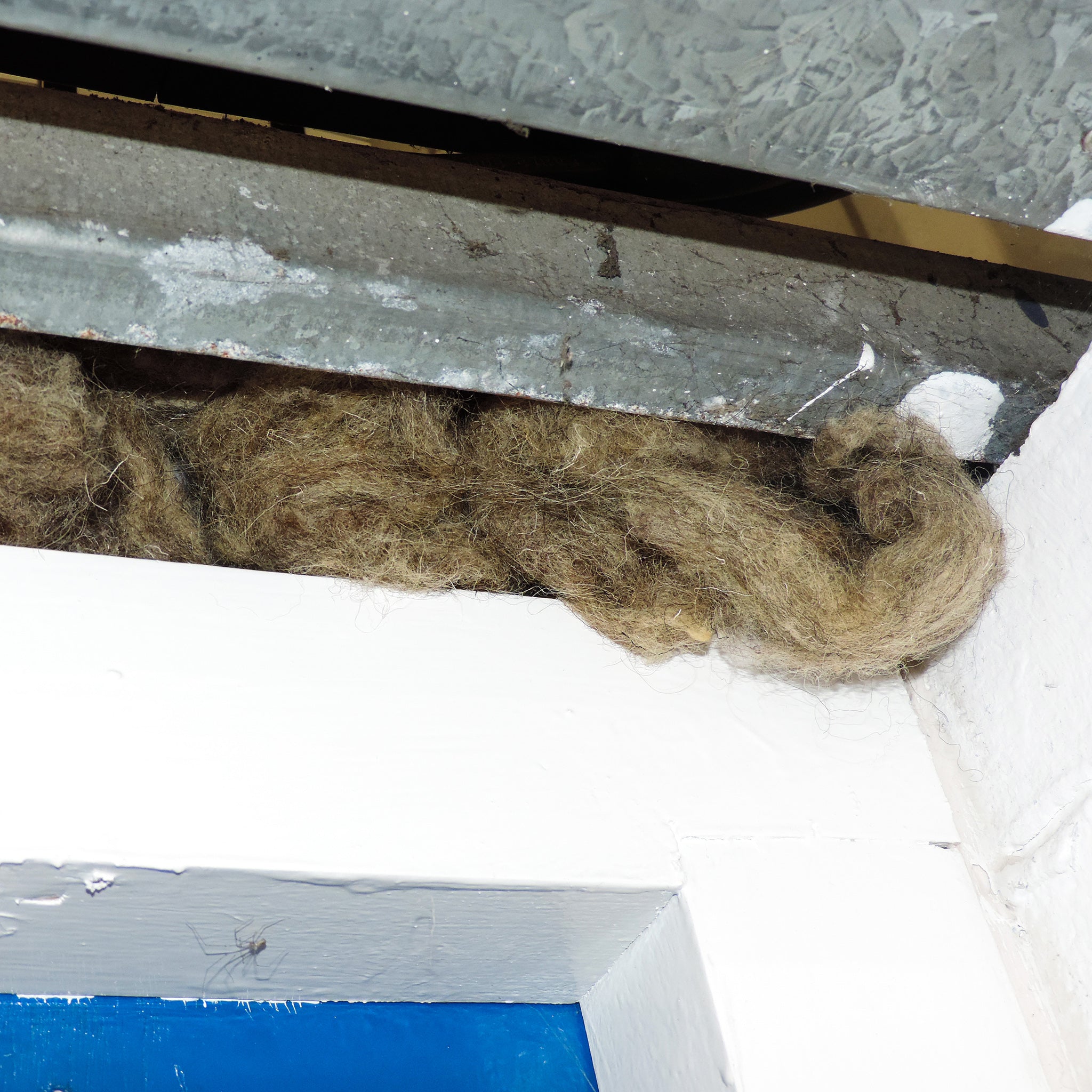 wool gap filler home insulation