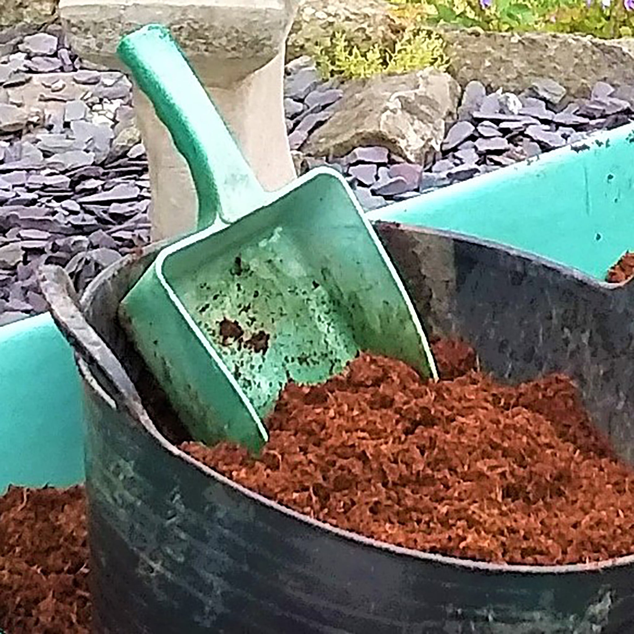 coir compost in bucket 