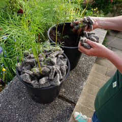 felt shillies garden mulch thumbnail