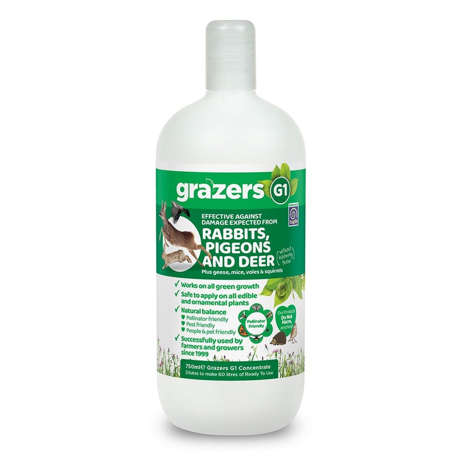 750ml Concentrate Bottle of Grazers G1