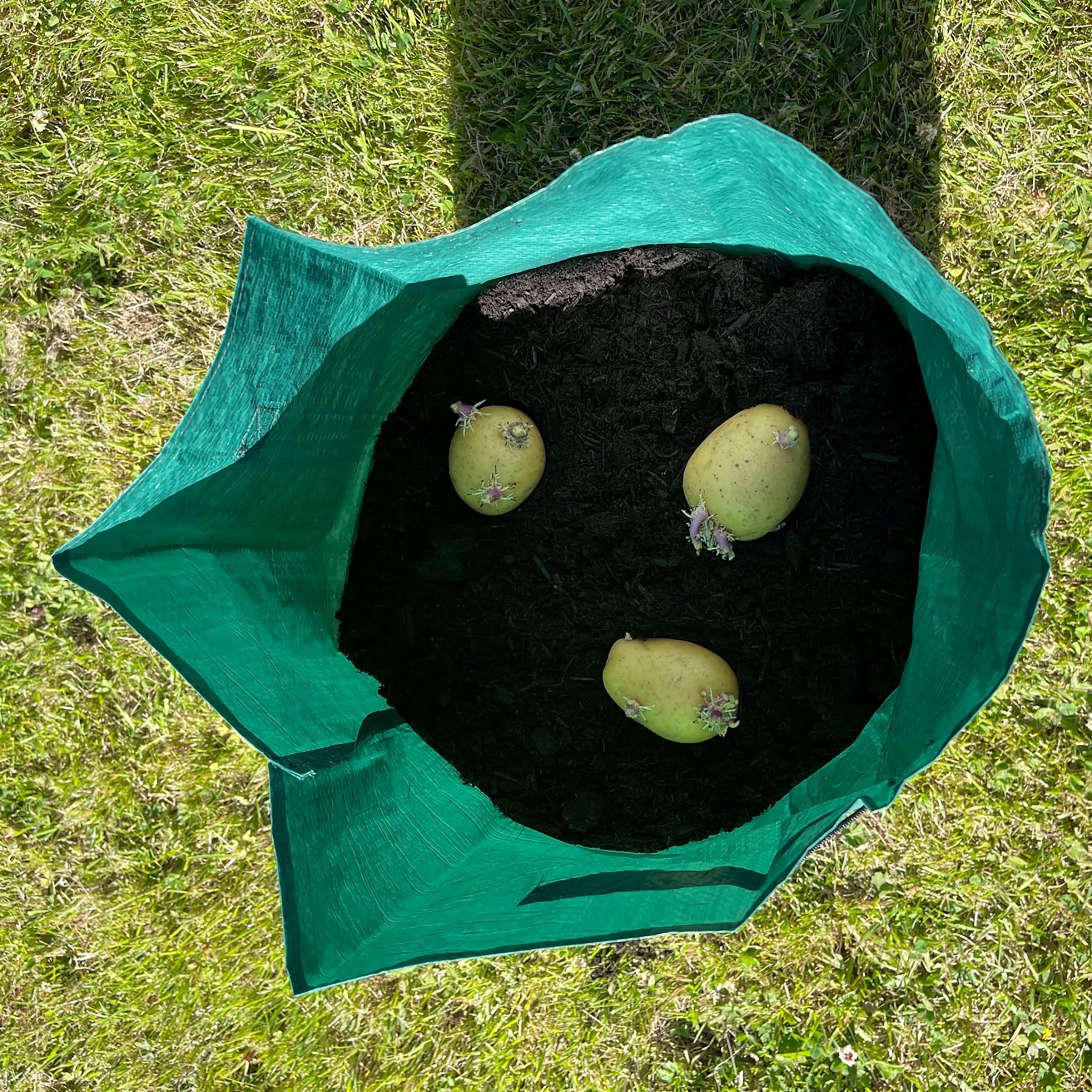 Potato growing sack