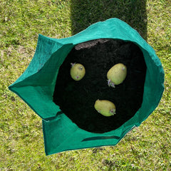 Potato growing sack thumbnail