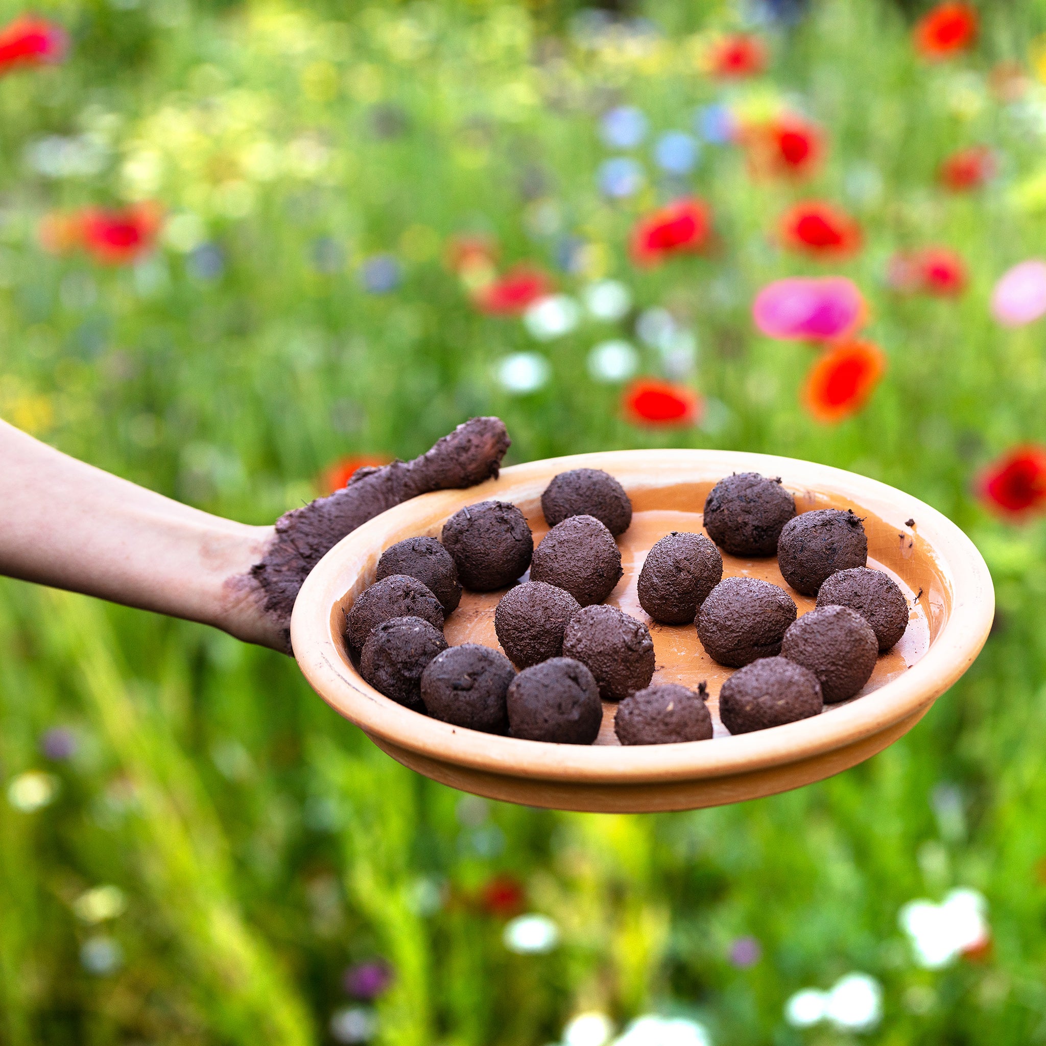 wildflower seed bombs uk Seed Bomb Kit – Chimney Sheep