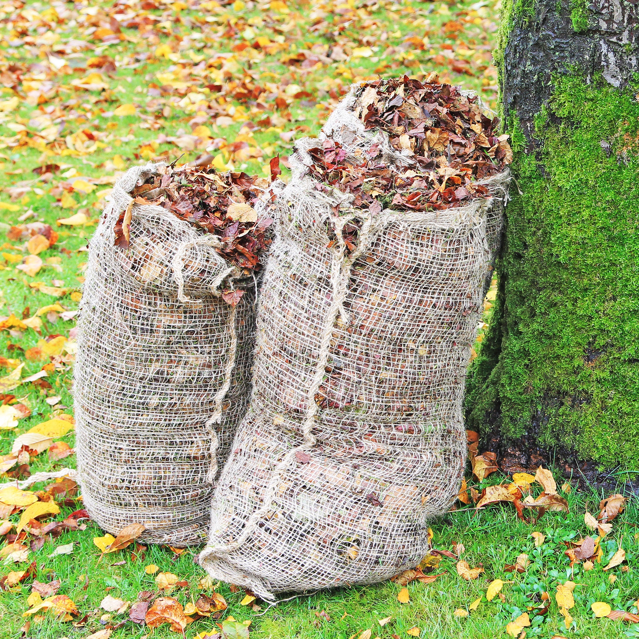 Nutscene leaf sack