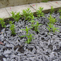 felt shillies garden mulch thumbnail