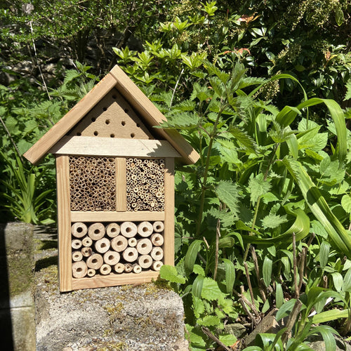 Insect hotel in garden